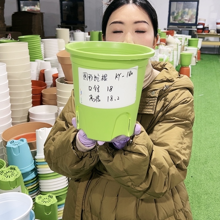 正品圆控口18高18果绿8只无托