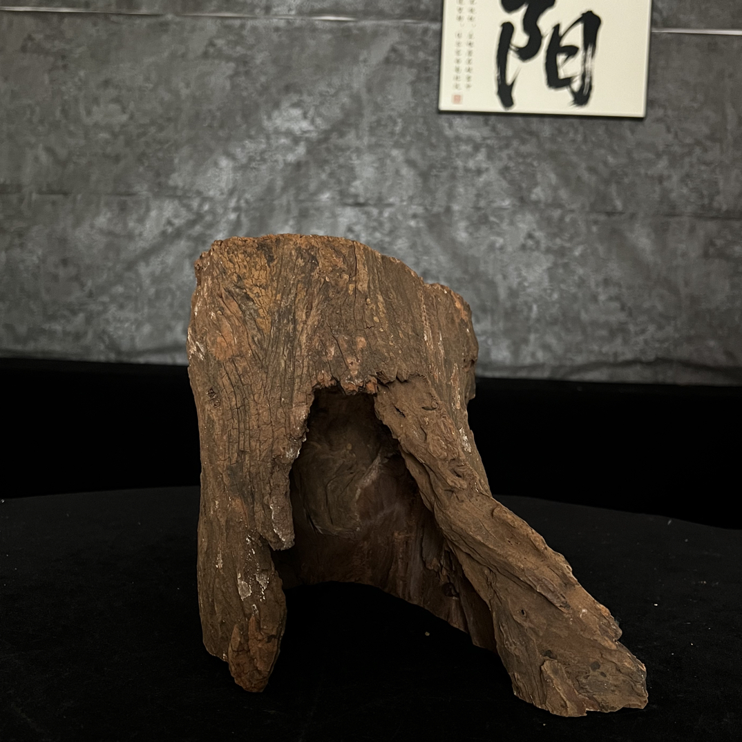 【青阳沉木】云南紫柚木沉木鱼缸造景龟爬寄居蟹躲避树洞33.23.23