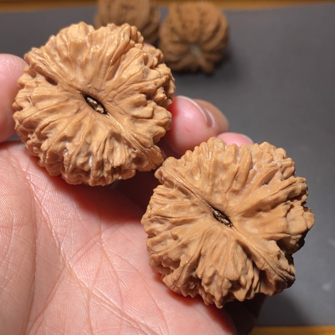文玩核桃吊坠41汉狮原树全品