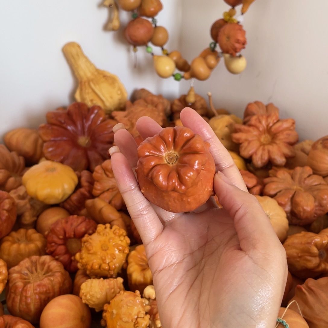 清***话清茶专属葫芦哈哈哈