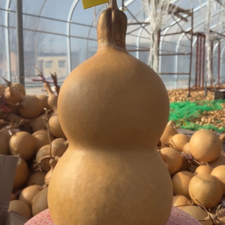 莉***9大叶紫檀（黑酸枝木类）