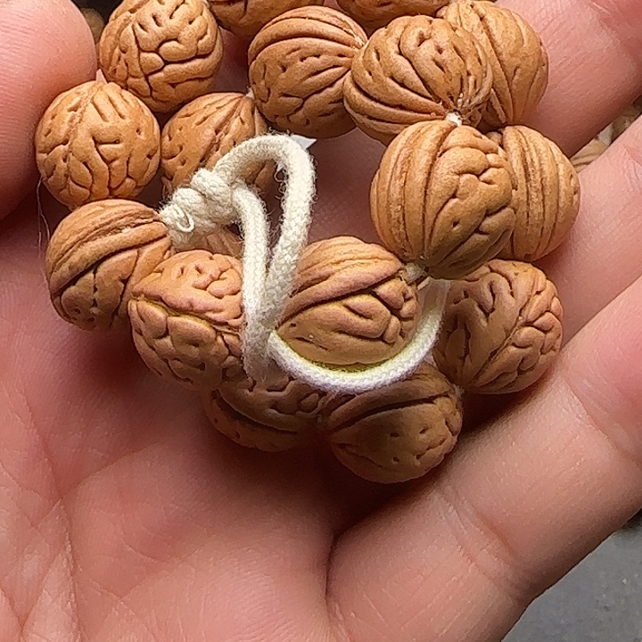 星***晨5号野生桃核大肠纹毛线圈