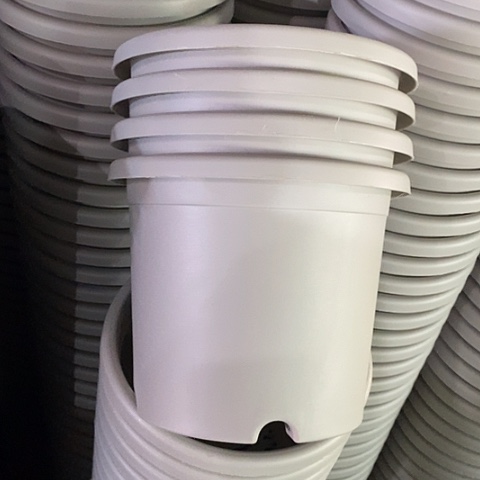 树脂微瑕3号10个无托灰白