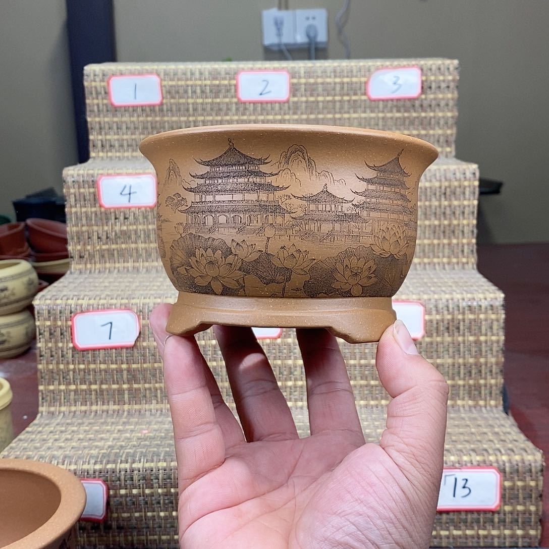 紫砂花盆你不来就