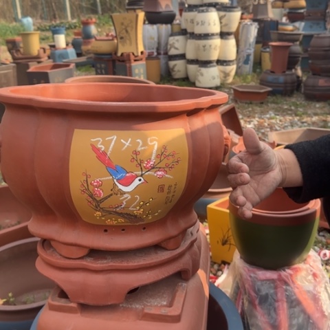 红陶紫砂花盆盆景盆栽