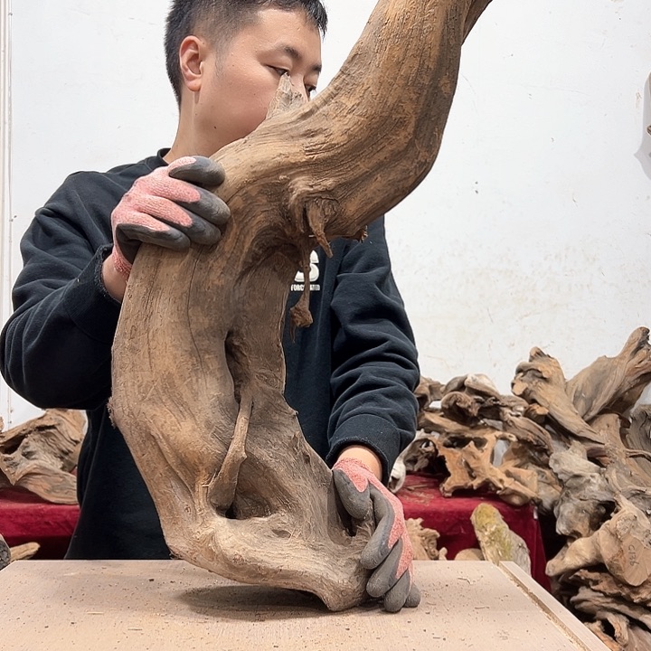 柏木我****卡我们都是好孩子呀我也是