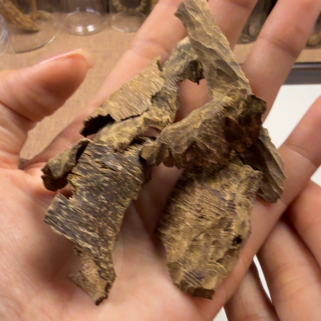 海南鸡母虫漏4克多样性发一