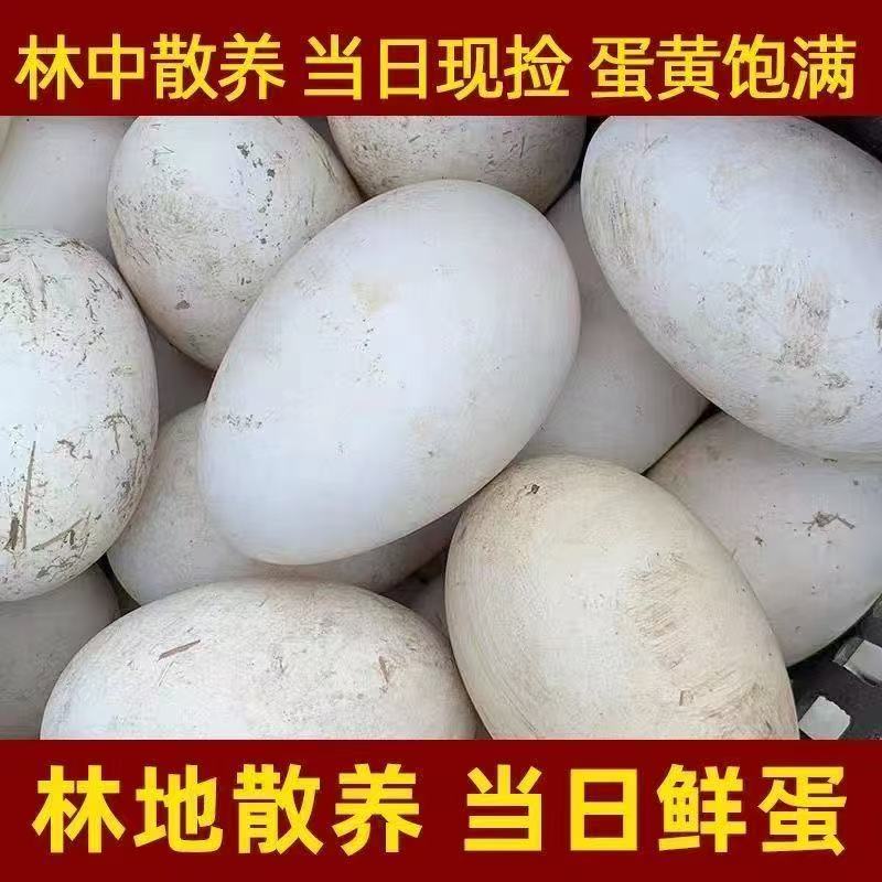 新鲜农家散养土鹅蛋营养丰富适合孕妇宝宝