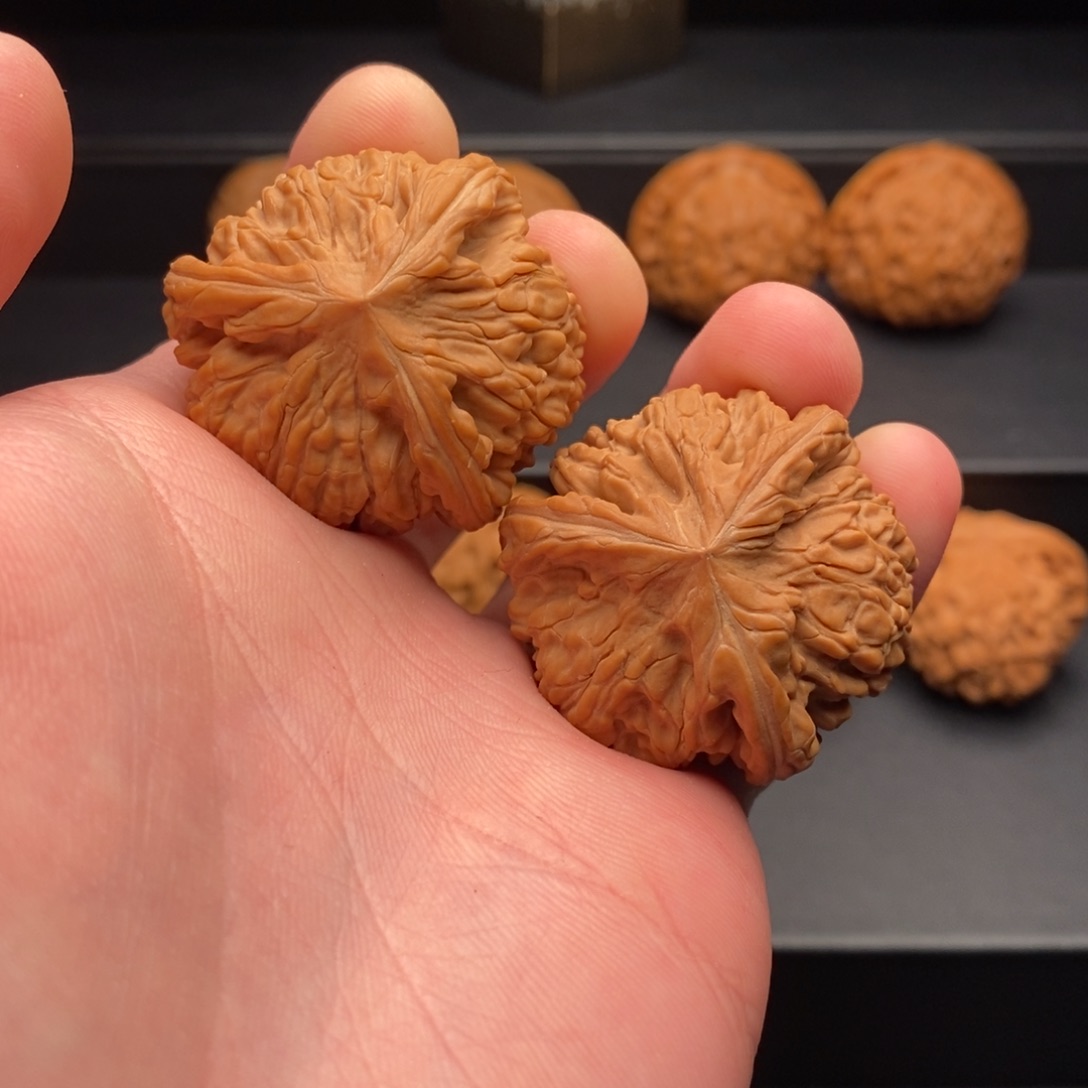 文玩核桃把件御龙