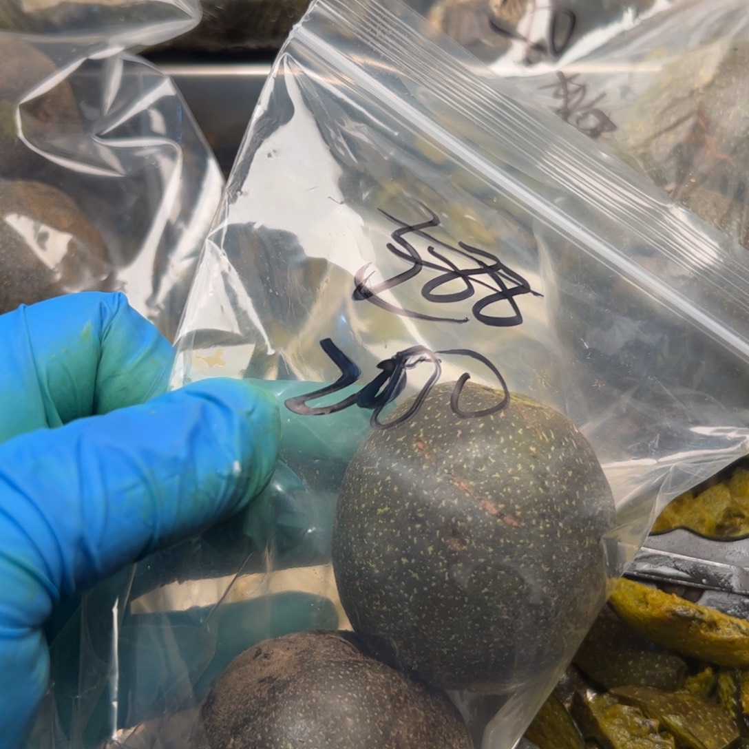 继***走符合环境结结巴巴b爸爸