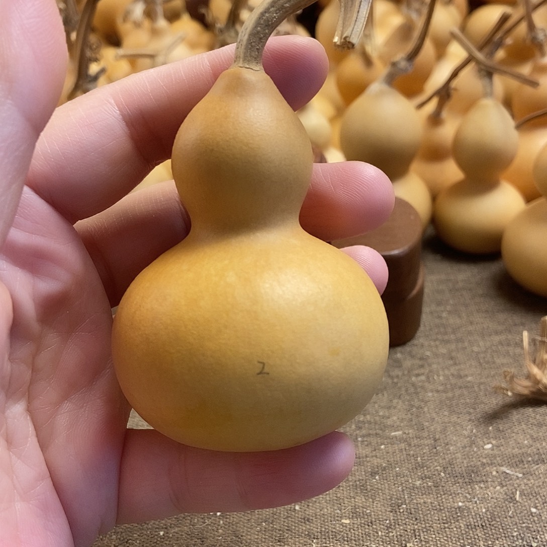 文玩葫芦 完美主义者 慎拍2