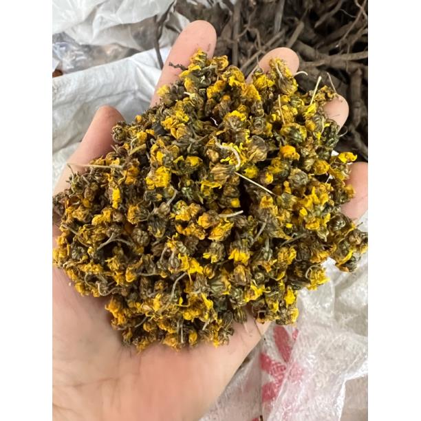 粤北山区阳山本地野生菊花100克起野菊花无磺货