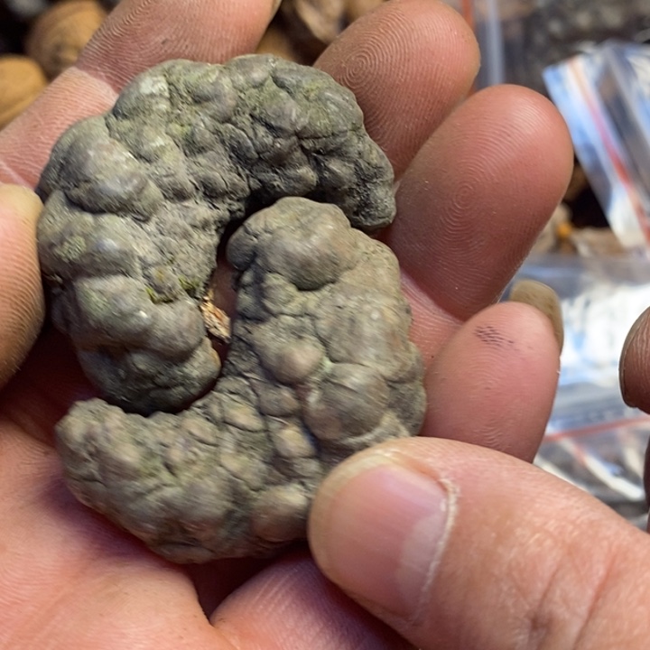 吊坠桃核东北特产38