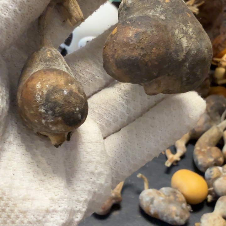 那***星6666666777777777778