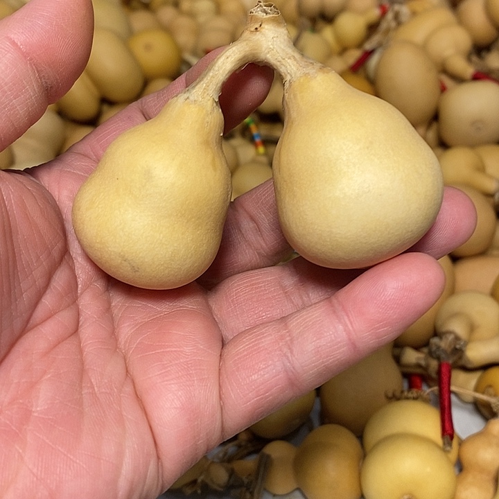 X*.精品葫芦手把葫芦82