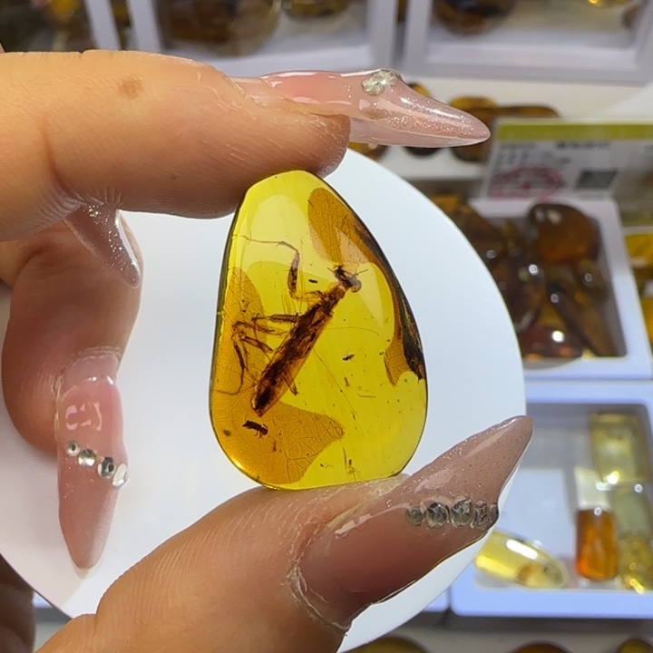 天***意琥珀未镶嵌裸石虫珀标本