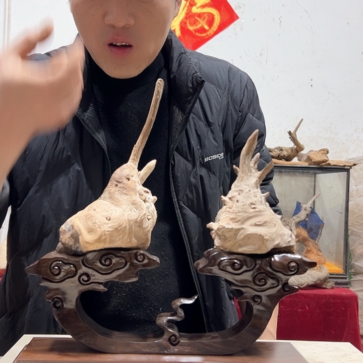 柏木调**哥我们的生活是