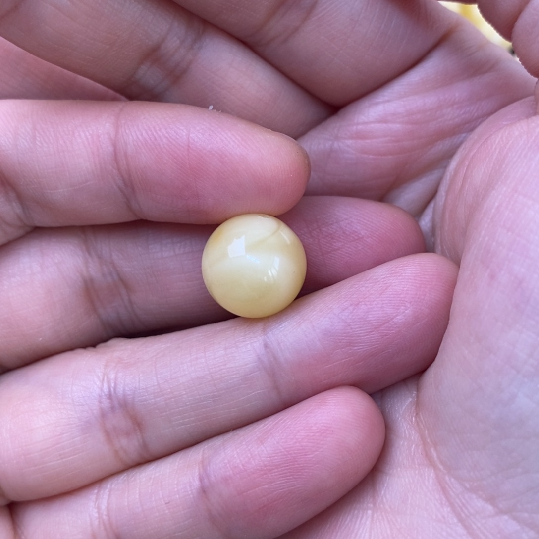 裸石琥珀未镶嵌嗨****蜜蜡