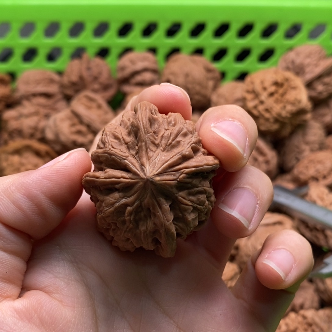 飞***觉核桃定制商品不退不换