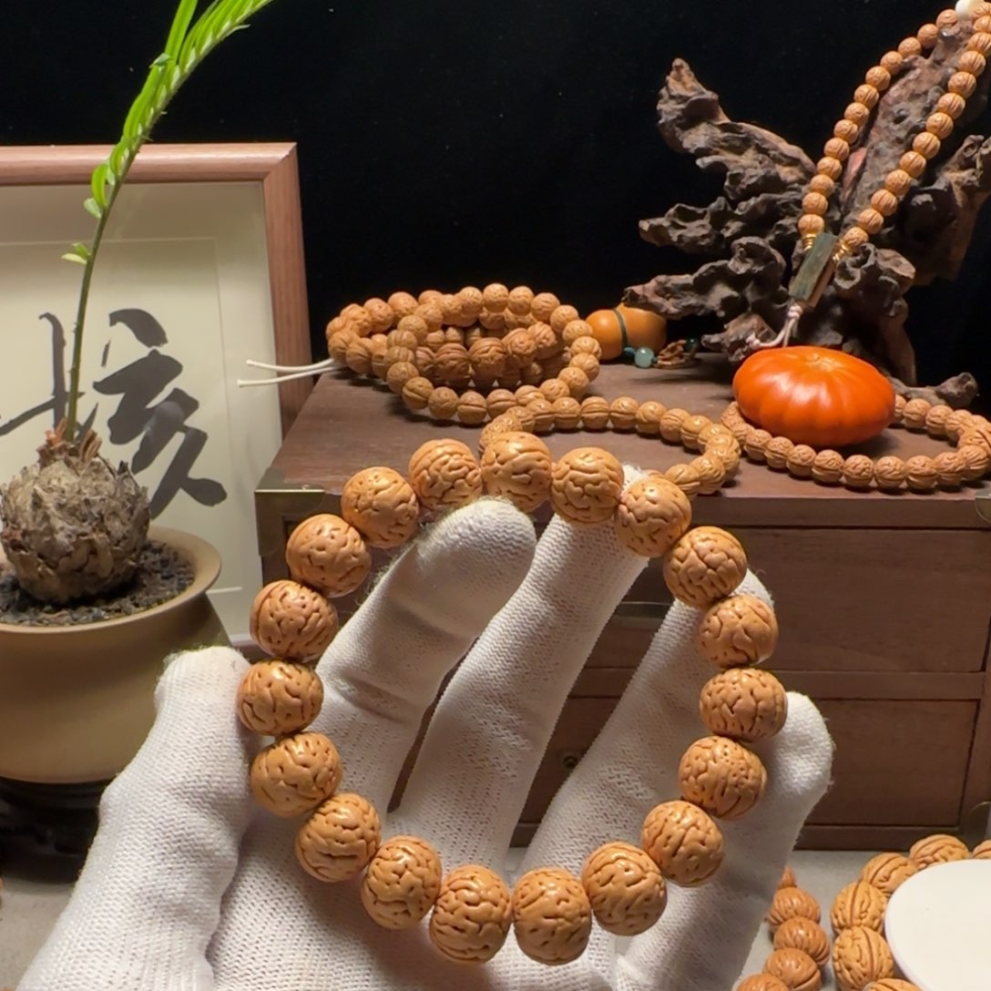 天***ㅤ1.4盘锦宽脐小肌肉“芬达”