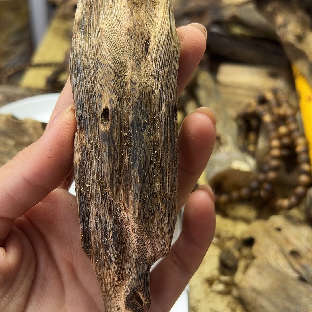 木绿奇楠虫漏30克