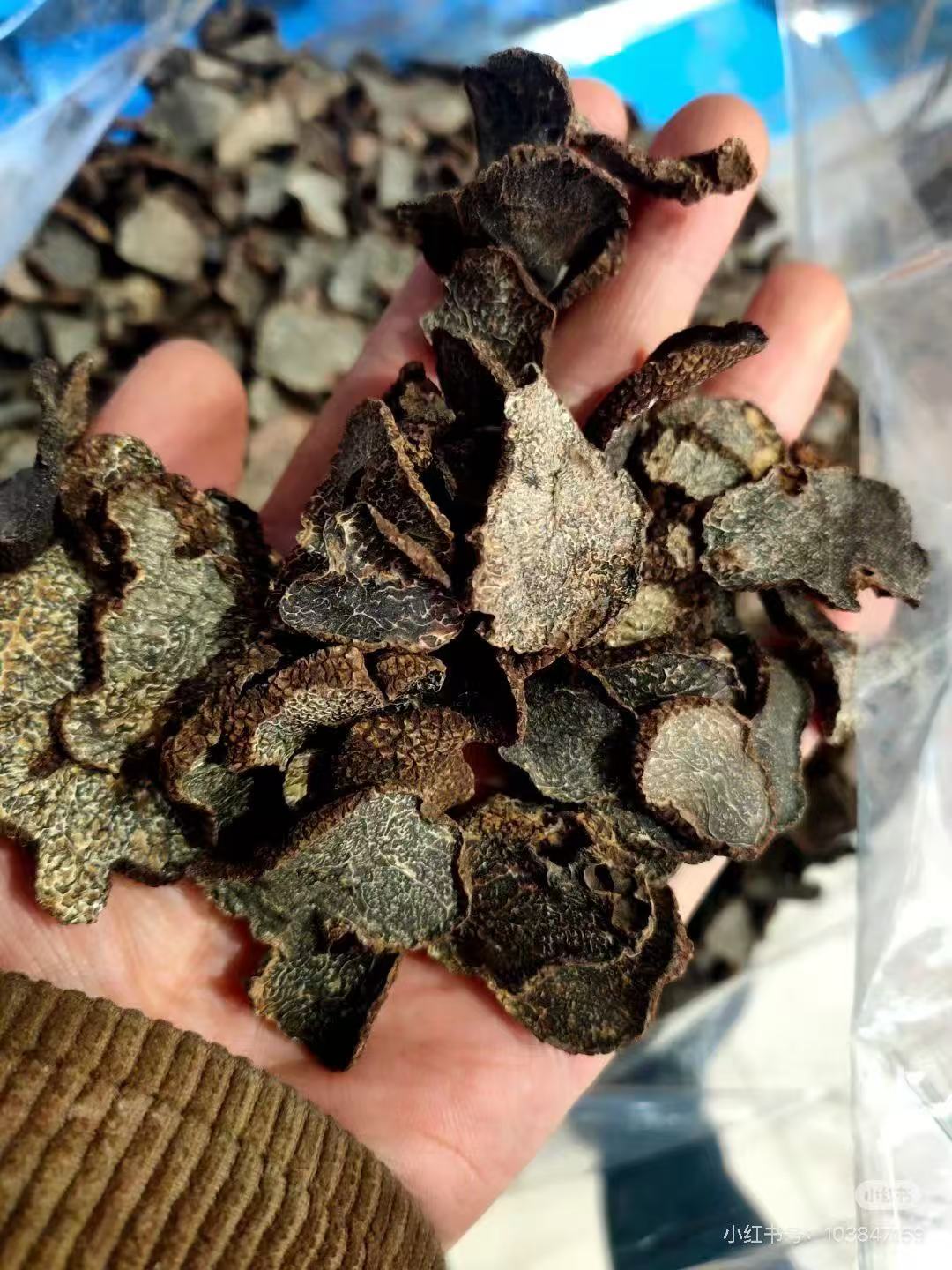 (黑松露） 边境现收山货农产品土特产 可搭配枸杞