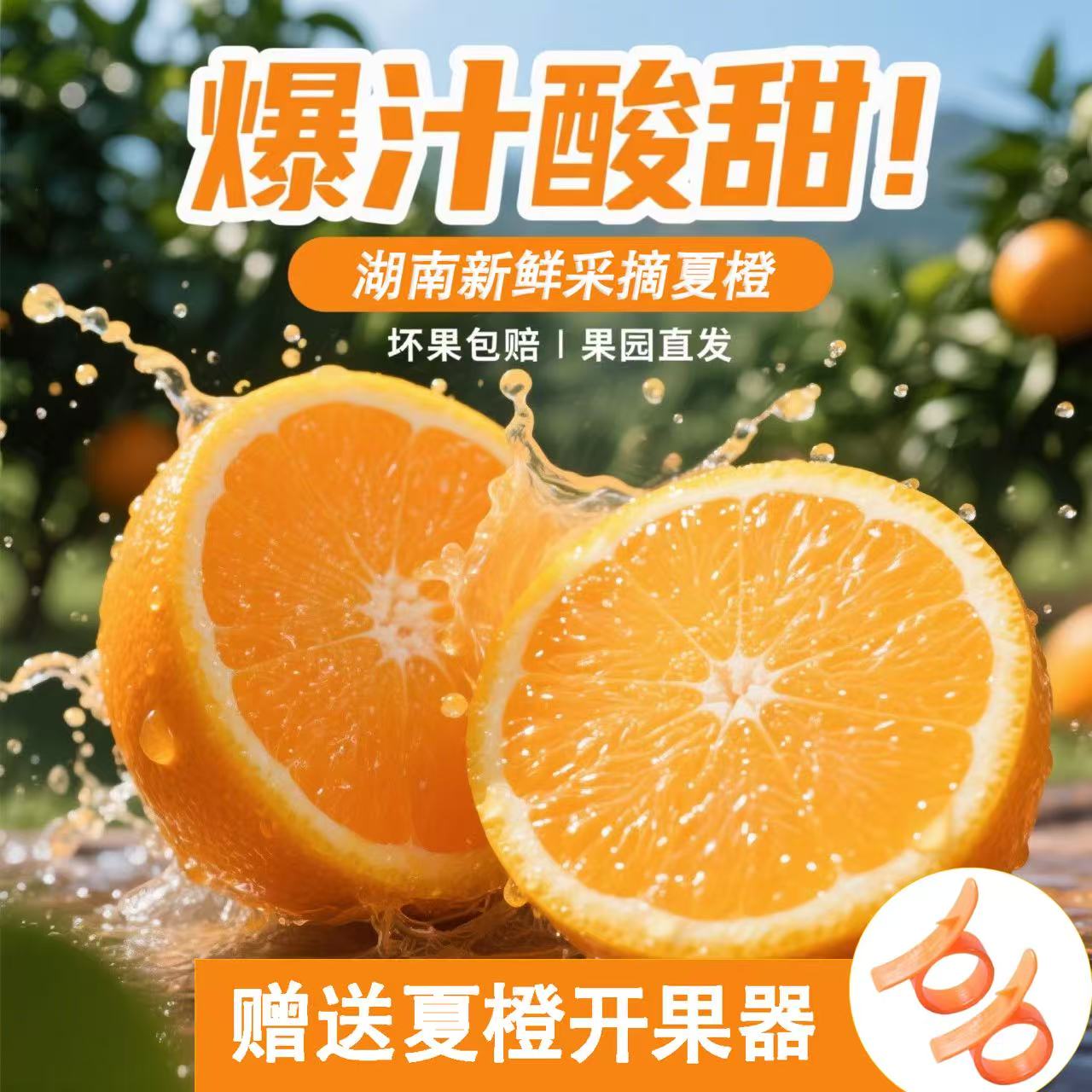 湖南高山夏橙应季新鲜水果树上自然熟9甜1酸橙子整箱包邮