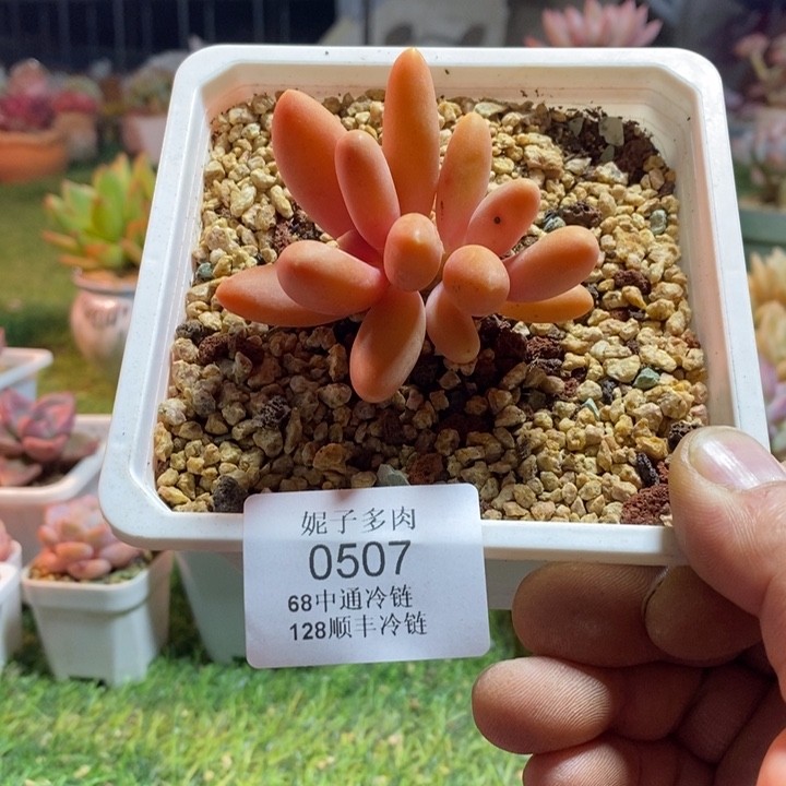 0507啊啊啊啊啊啊啊啊啊啊啊