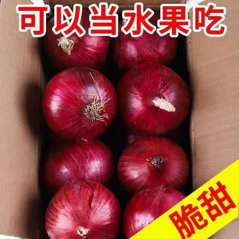 【伍元十斤发两箱】可以当水果生吃紫红皮洋葱生吃脆甜2025水果洋葱