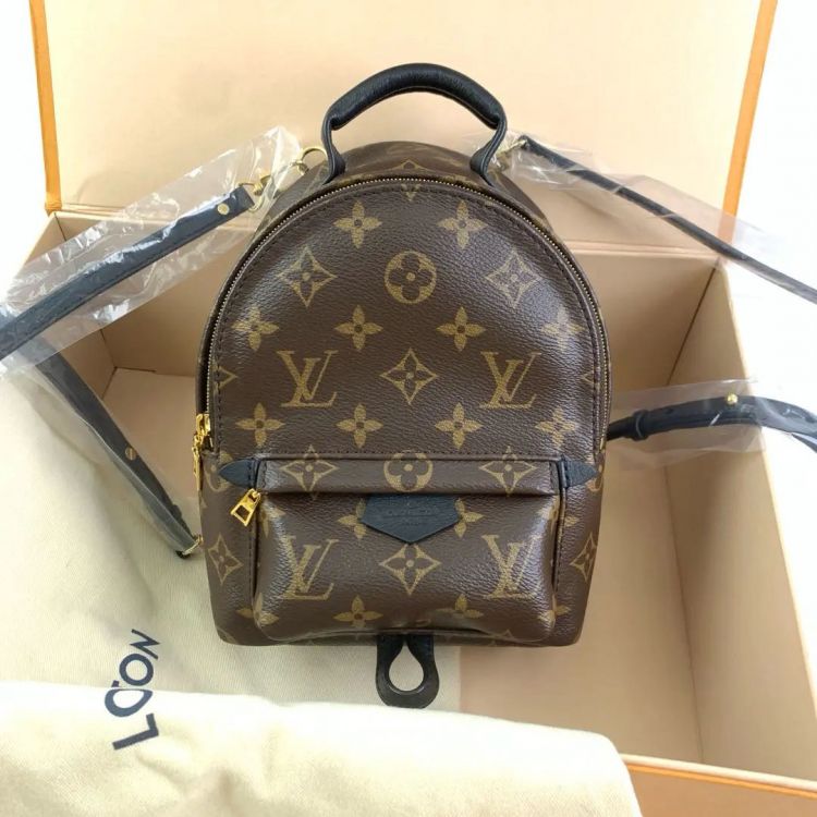 99新/路易威登/双肩包/C10907484782/[251130LLYC]
