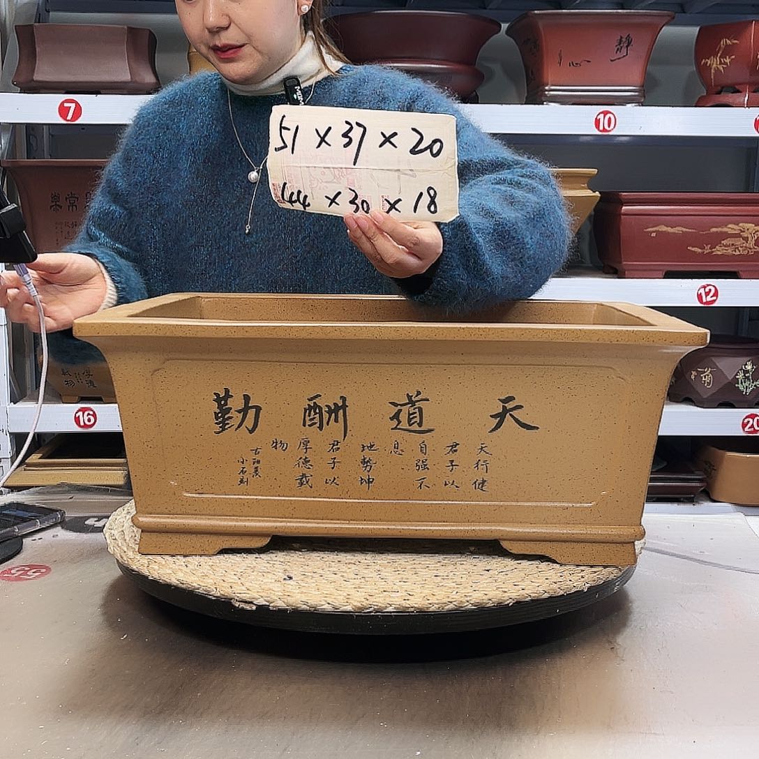 花盆紫砂紫砂花盆