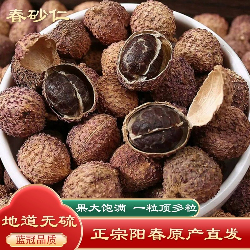 正宗广东阳春养胃春砂仁煲汤泡酒煮粥精选干货高品质饱满