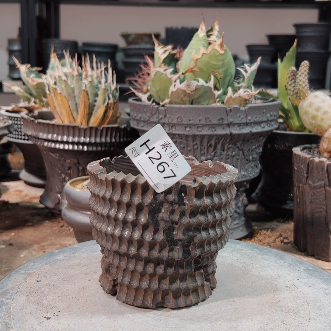 景德镇手工素里内口10高10