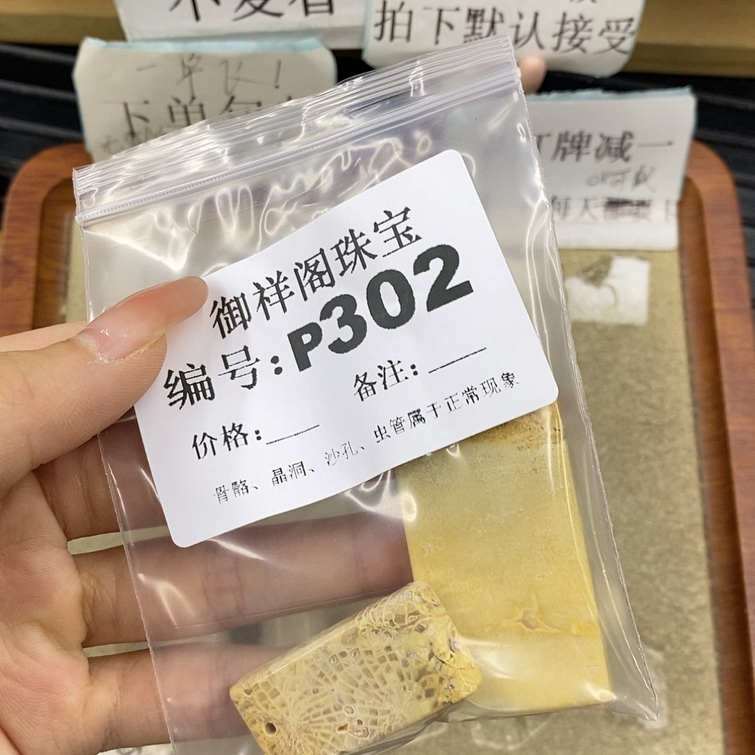 硅化珊瑚（珊瑚玉）未镶嵌颈饰依*