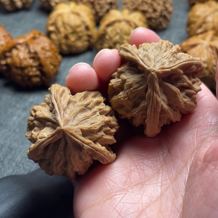 全品无修盘山三棱