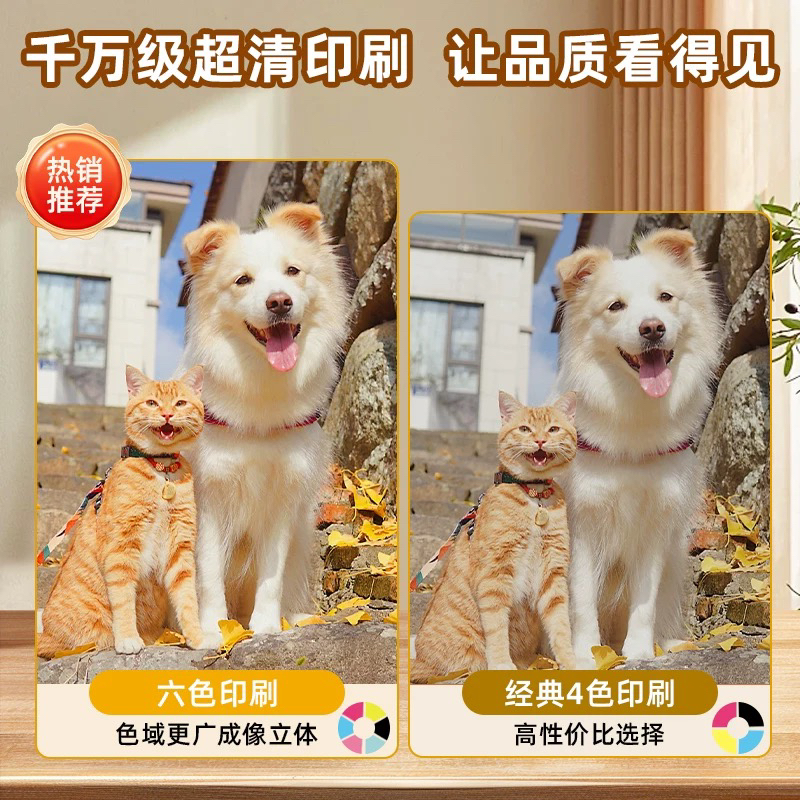 宠物纪念册定制照片，拍前咨询客服