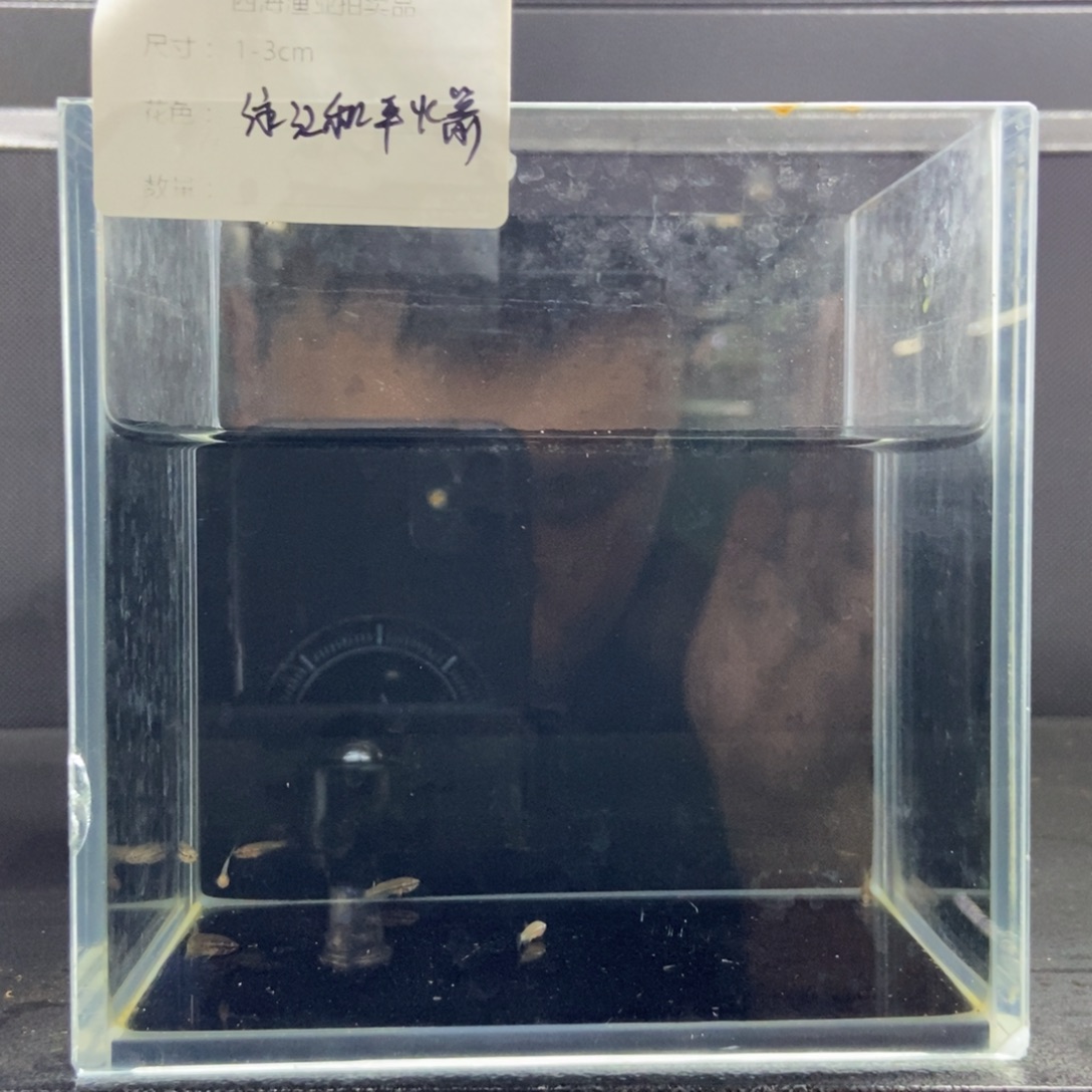 斗鱼包活不包损所见即所得562