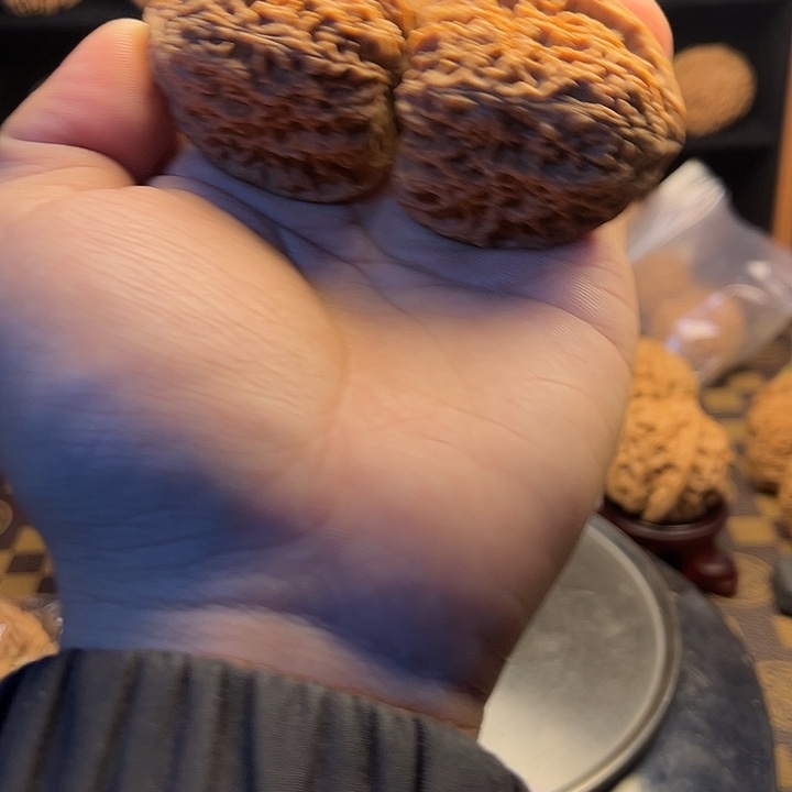 大***儿大叶紫檀（黑酸枝木类）