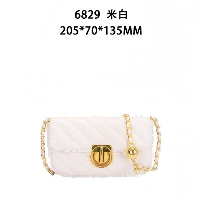 BSS-VAZSLVE/原创设计GQ-6829-优雅白 春季新款轻奢小包