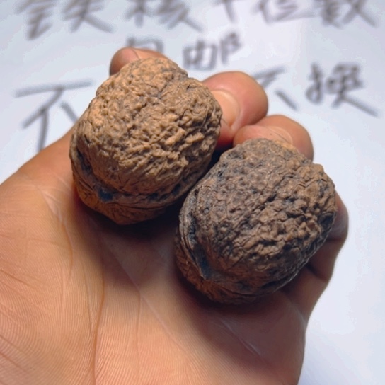 把件文玩核桃卡37寿星头3号