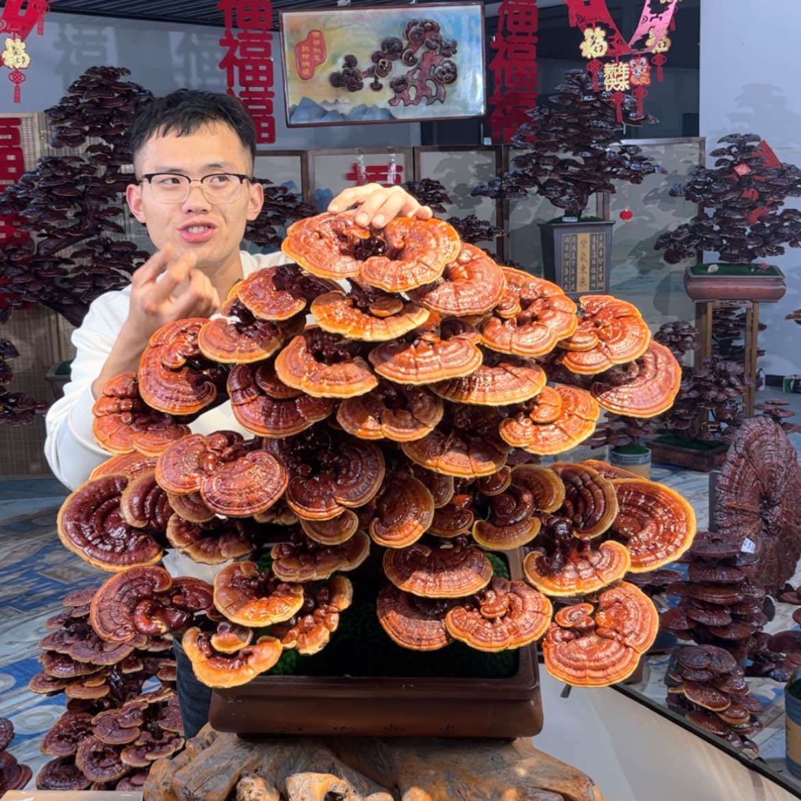 【闪购商品】808889