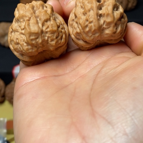 文玩核桃蛤膜头尺37