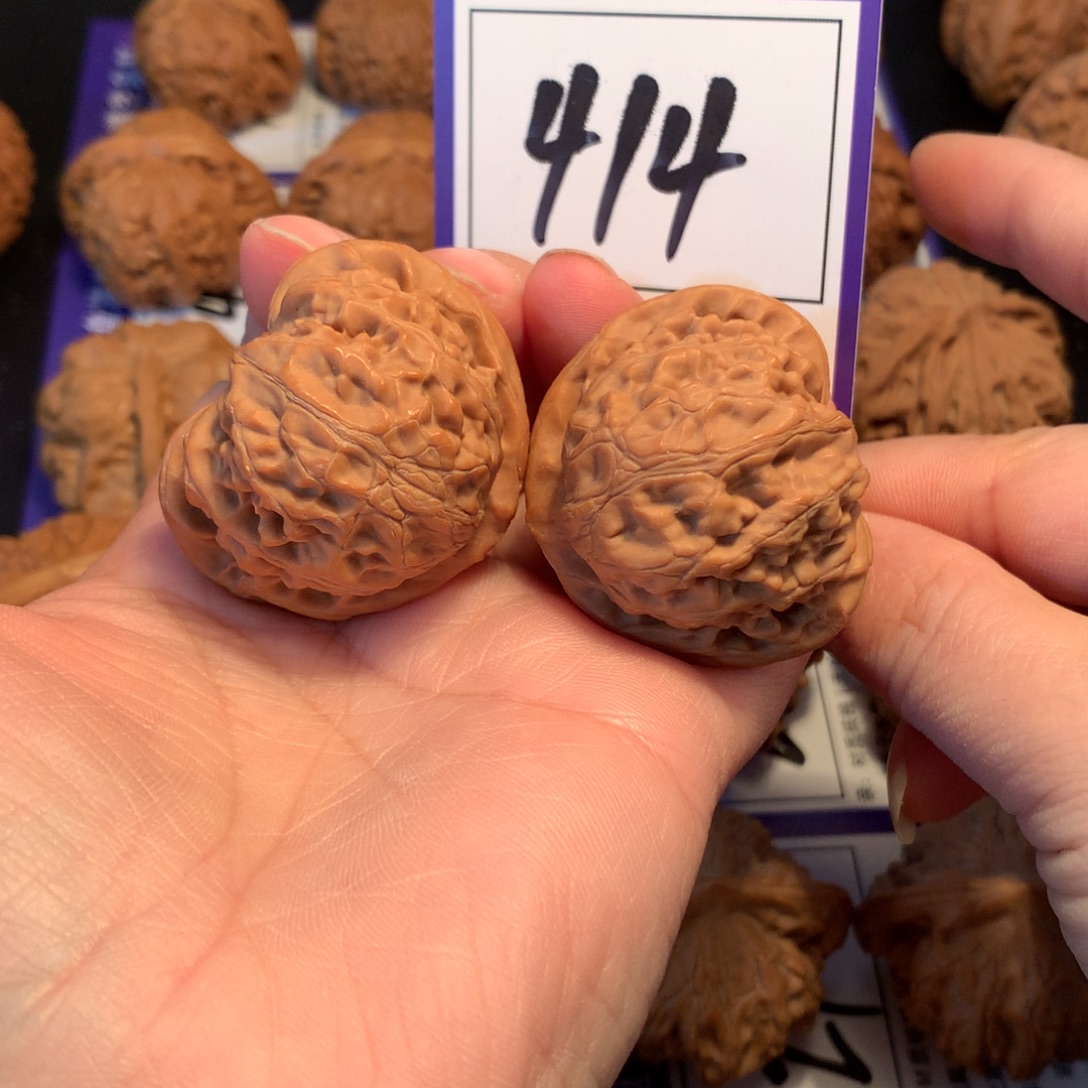 核桃414宫灯4.0全品