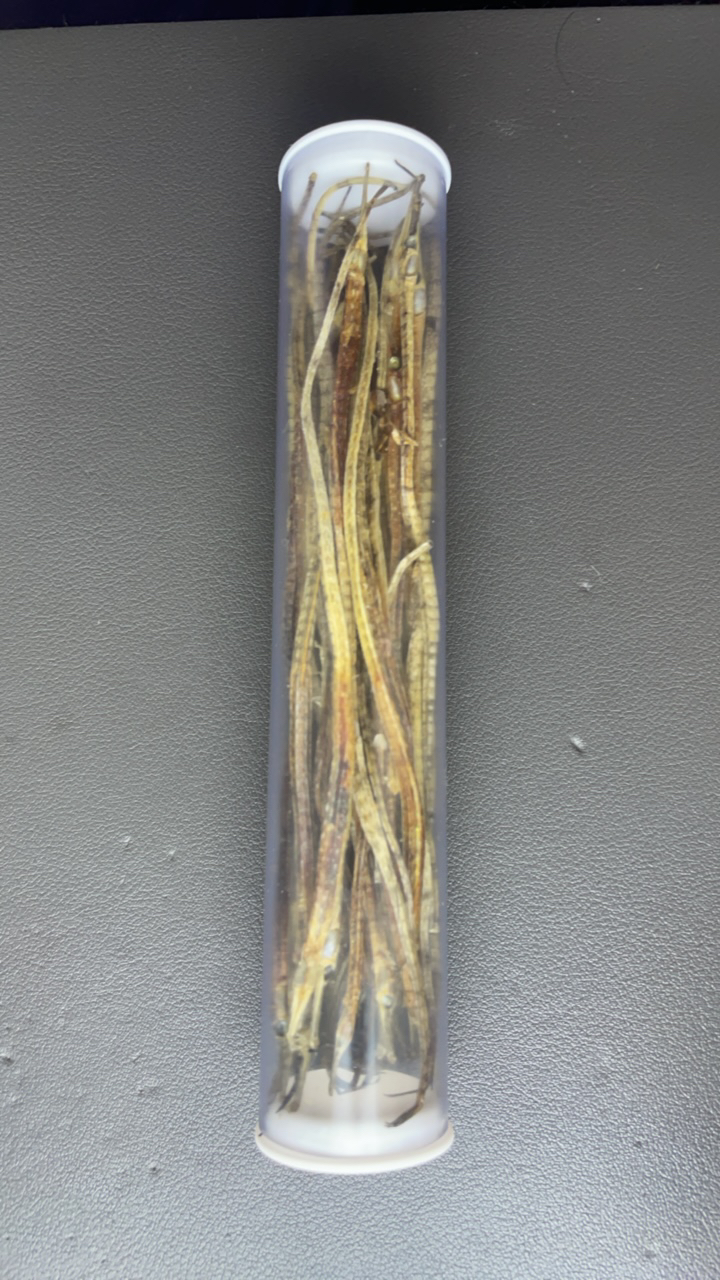 特色工艺品手串 658