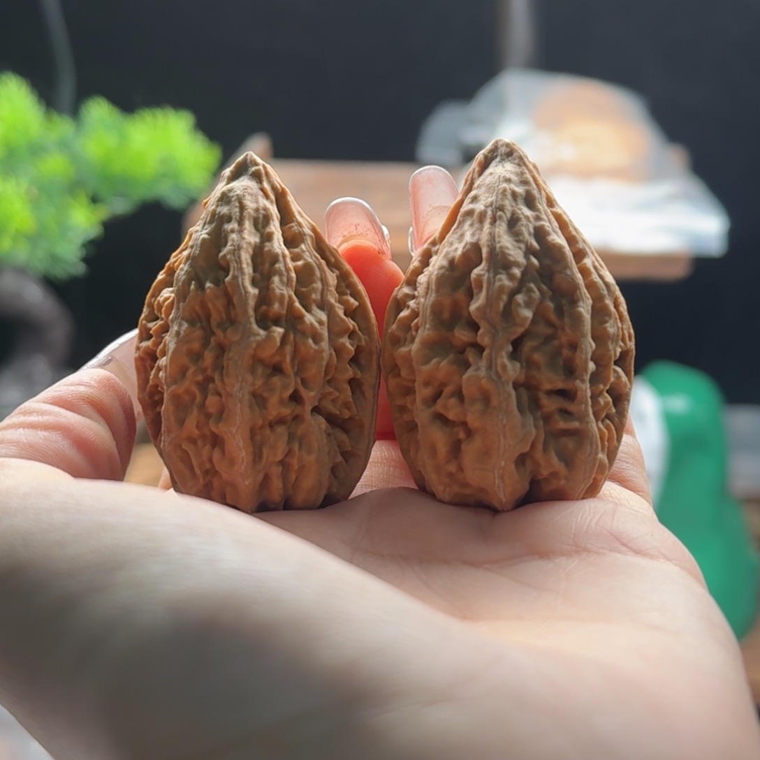 文玩核桃把件关东木子楸百核97