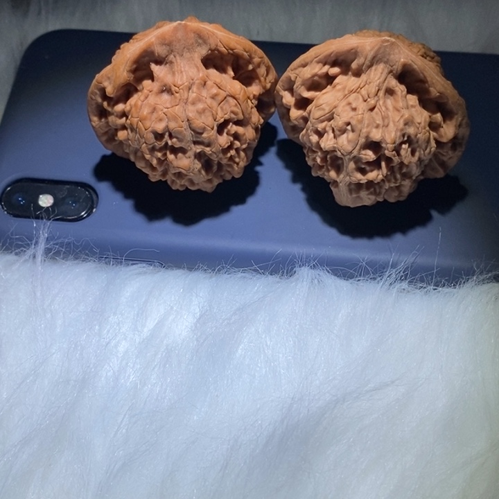 竹***文玩核桃吊坠精品课程的教学和科研