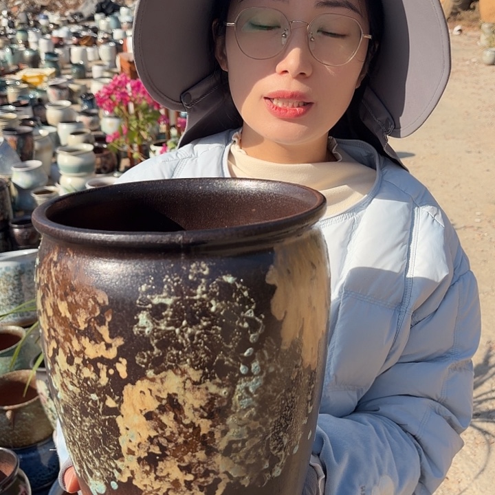 口20高24一个花盆