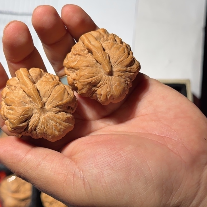 文玩核桃把件175号蛤蟆头一帆风顺大