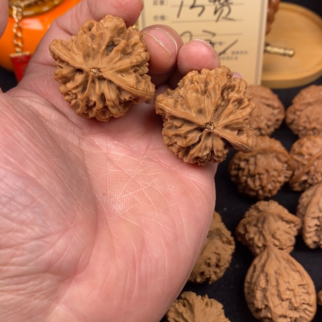 一****n秦岭南侧和东北的山门