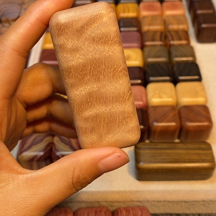 小****香榧木木木木木木木木木木木木